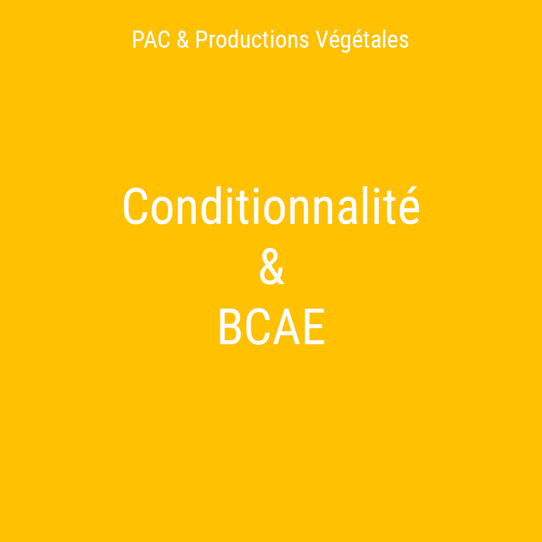 Lire la suite à propos de l’article BCAE 7 (rotation de vos cultures) : les premières répercussions en 2025