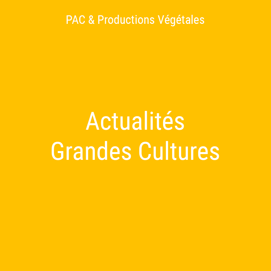 Lire la suite à propos de l’article Aide soumise aux « minimis agricoles » ?