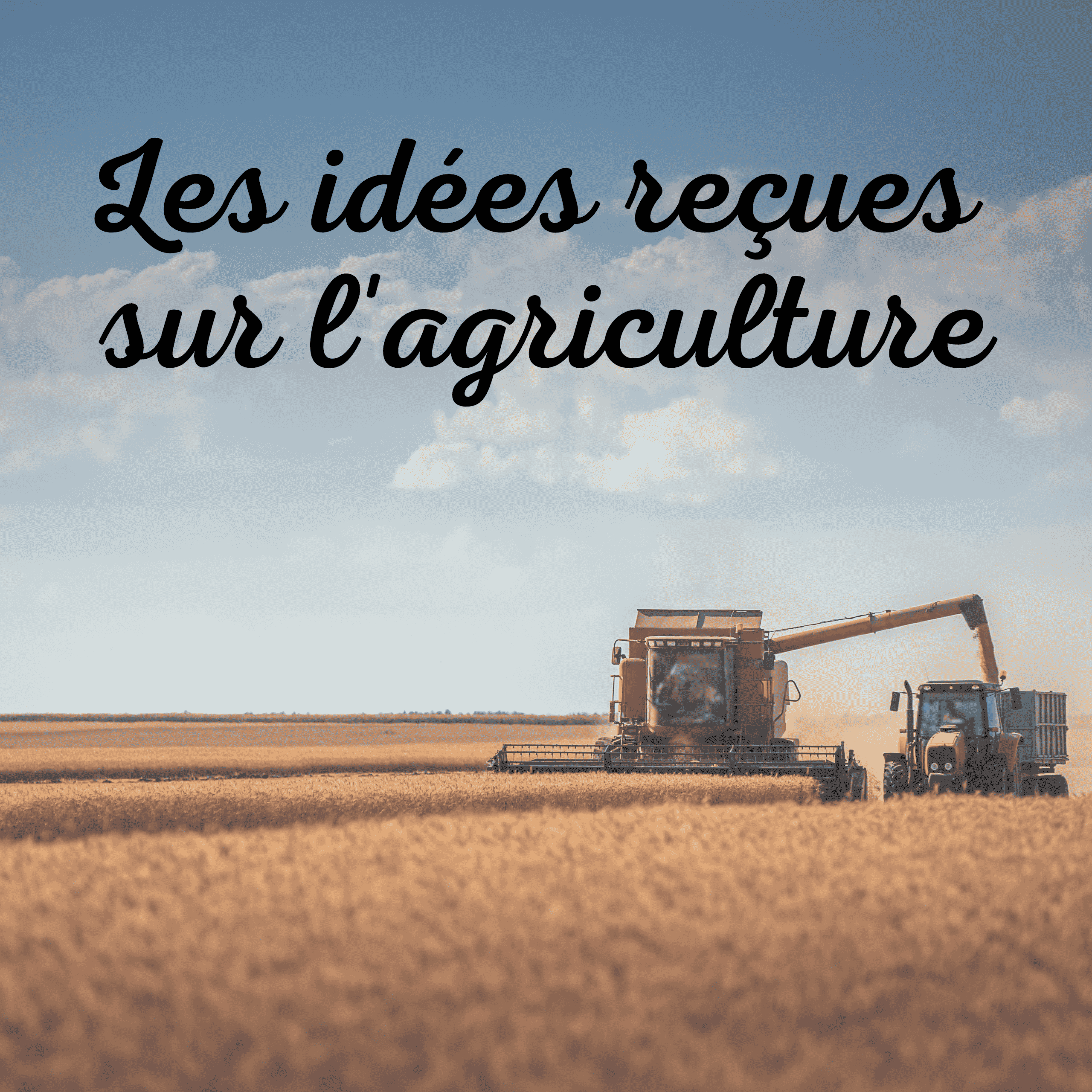 Lire la suite à propos de l’article VRAI-FAUX N°17  L’AGRICULTURE TUE LES ABEILLES