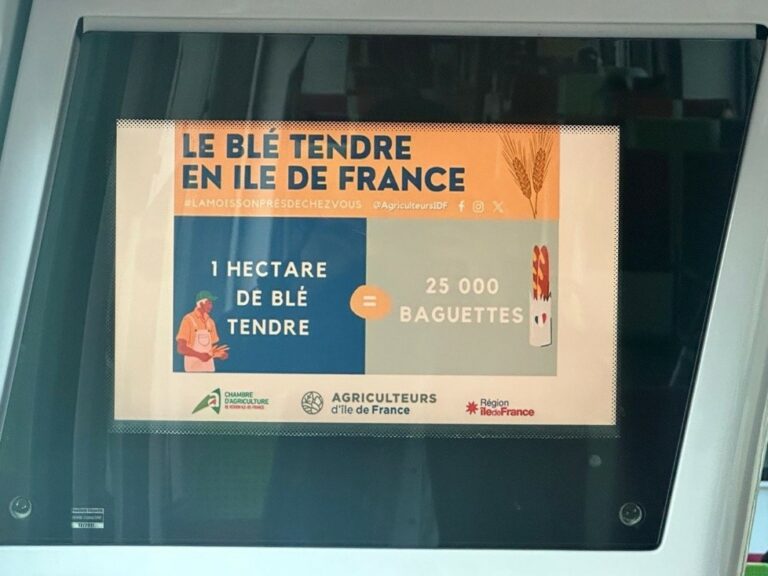 Lire la suite à propos de l’article Campagne de communication dans tous les Transiliens.